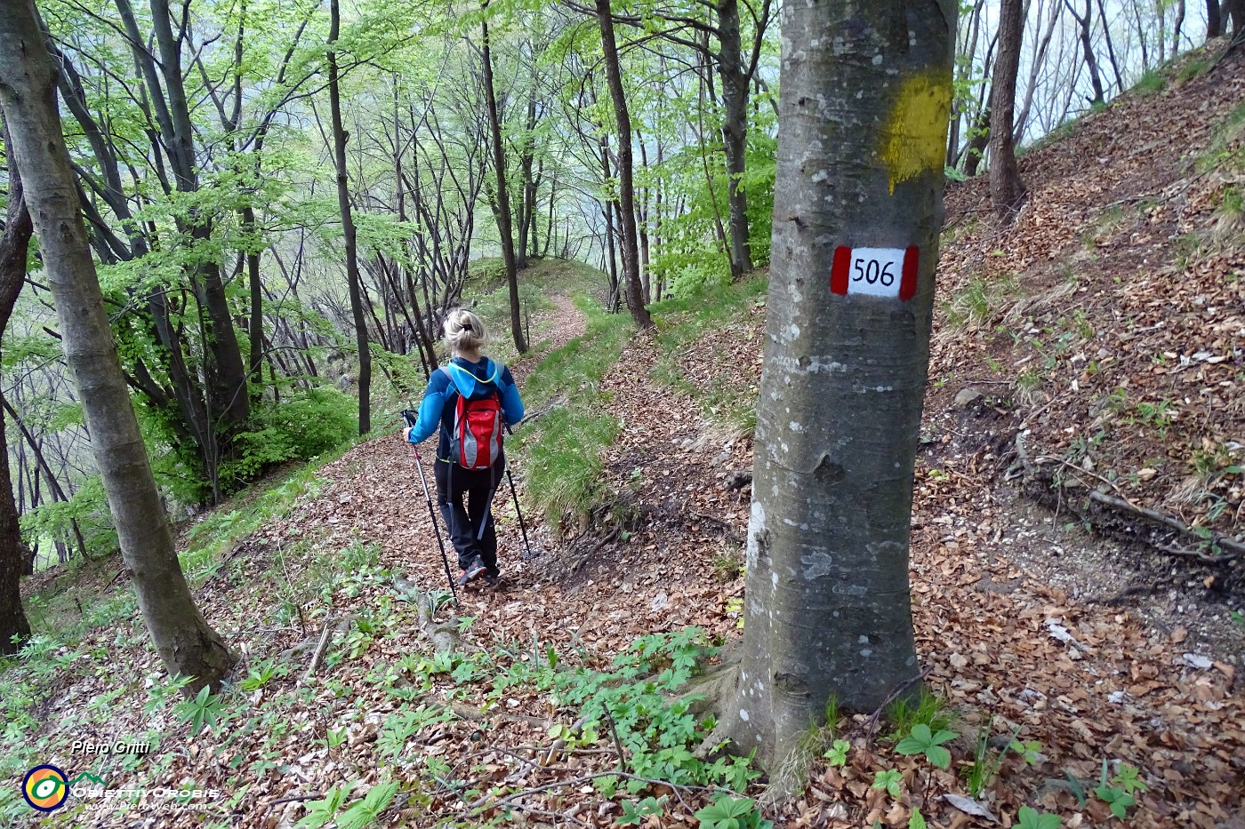 79 Alla sella prendiamo a dx il 506 della Val Merlonga.JPG -                                